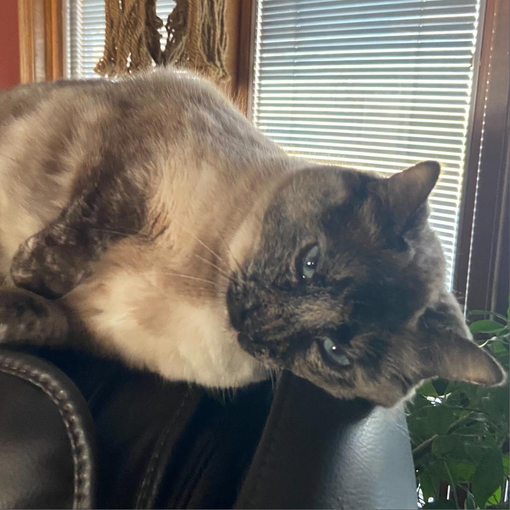 Aspen