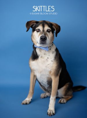 Skittles, Senior Male unknown