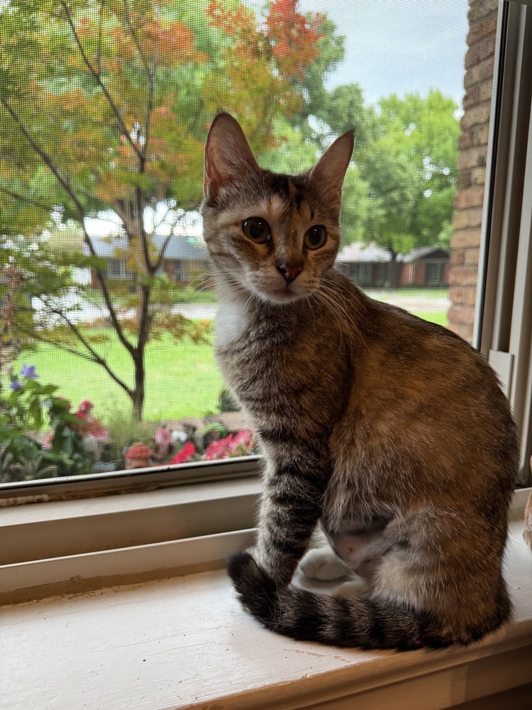 Bonnie May 2243