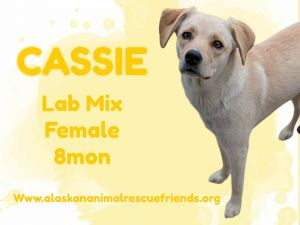 Cassie, Young Female unknown