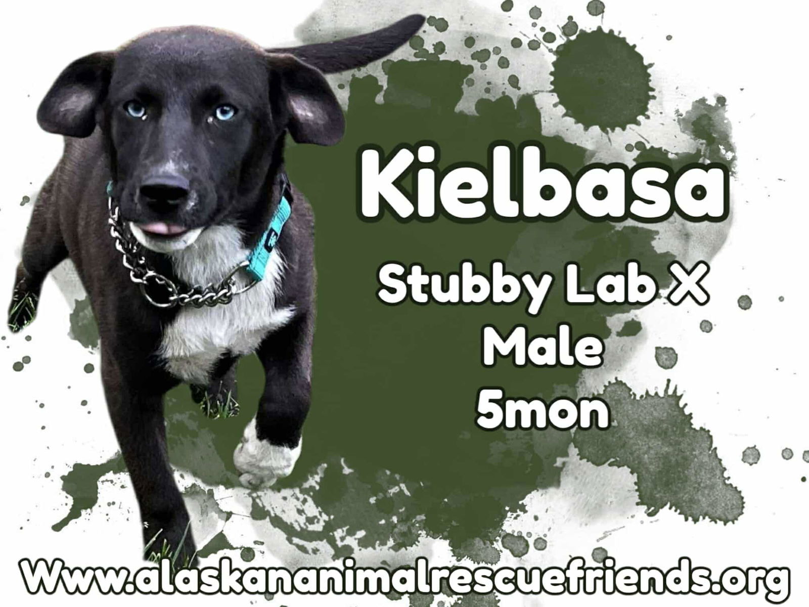 Keilbasa