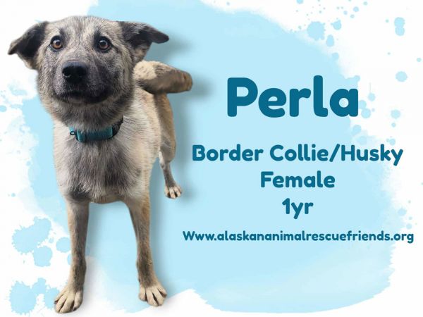 Perla