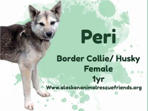 Peri, Young Female unknown