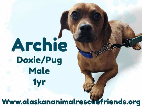 Archie