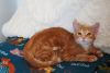 Tigger photo 2