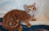 Tigger photo 3