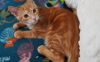 Tigger photo 4