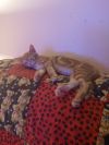 Tigger photo 6