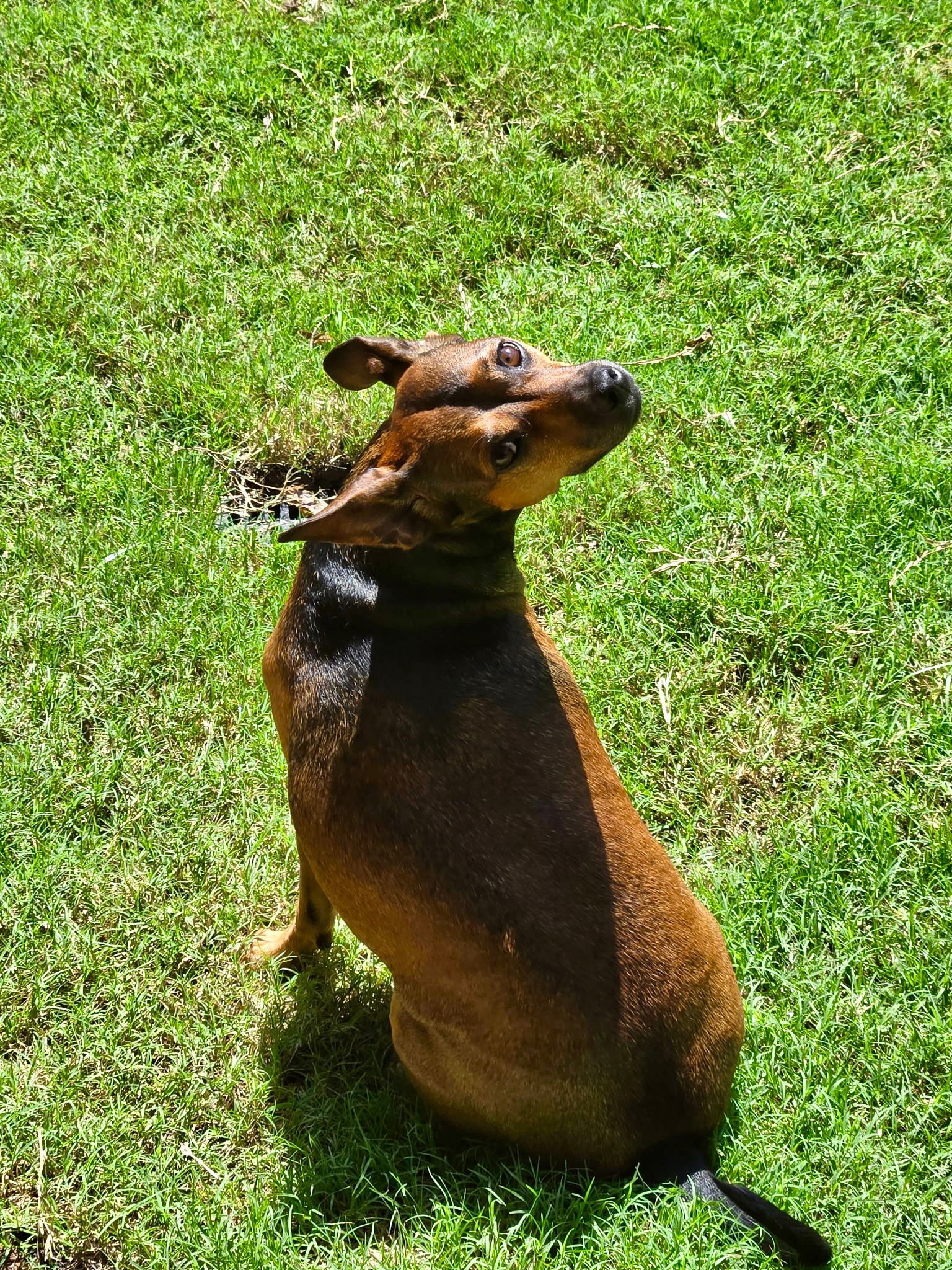 Buster