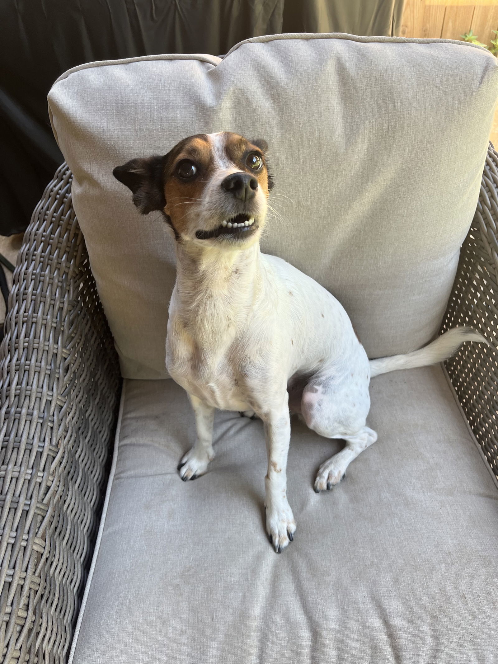 Nash