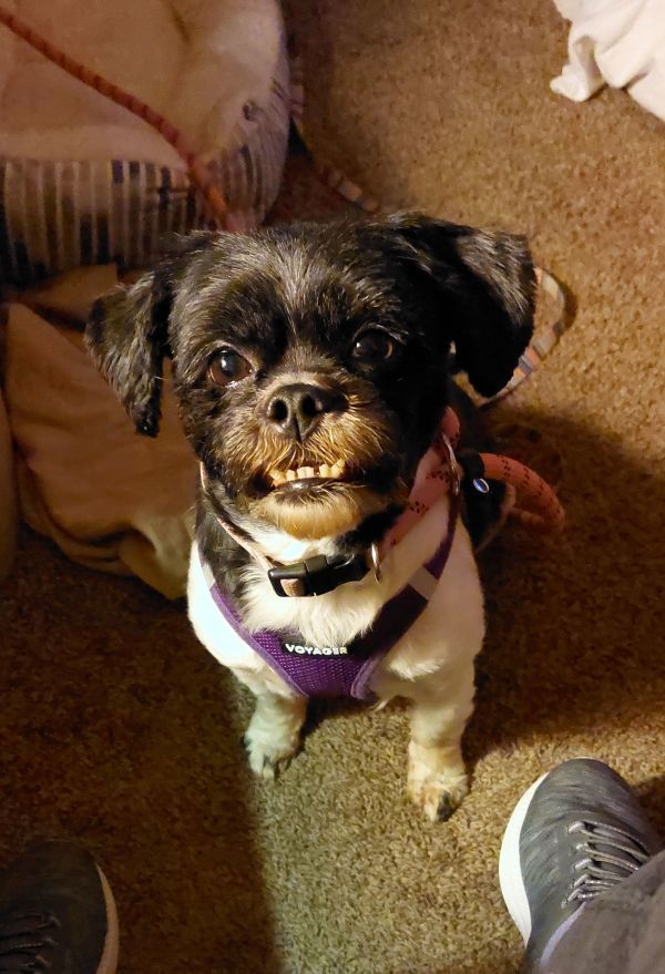 Minnieos thumbnail 2