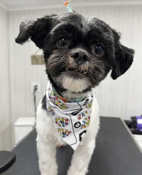 Minnieos thumbnail 3