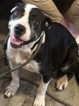 Maggie May 25