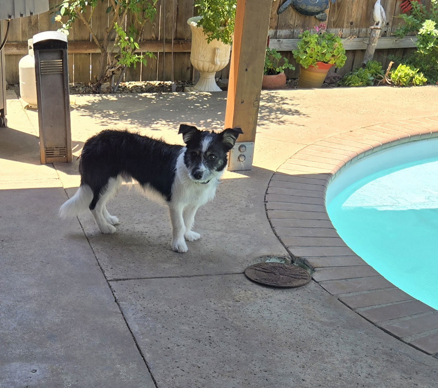 Oakley