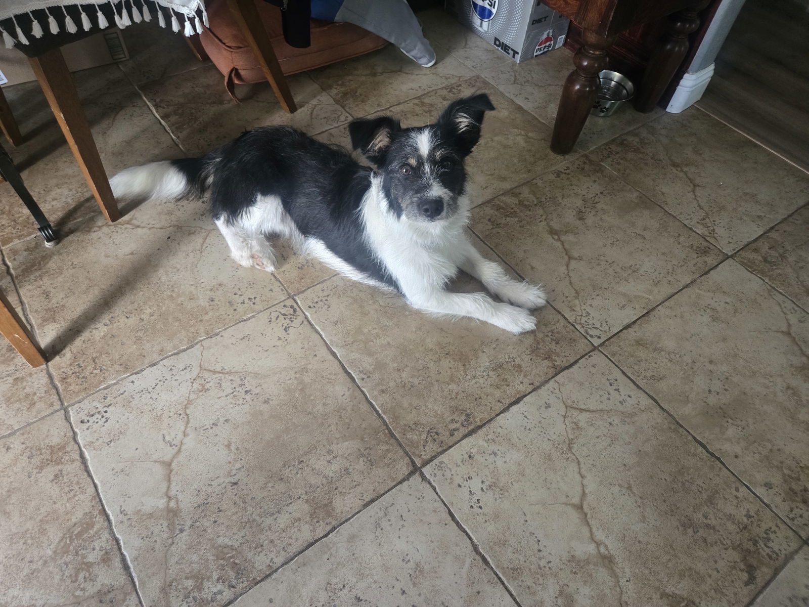Oakley