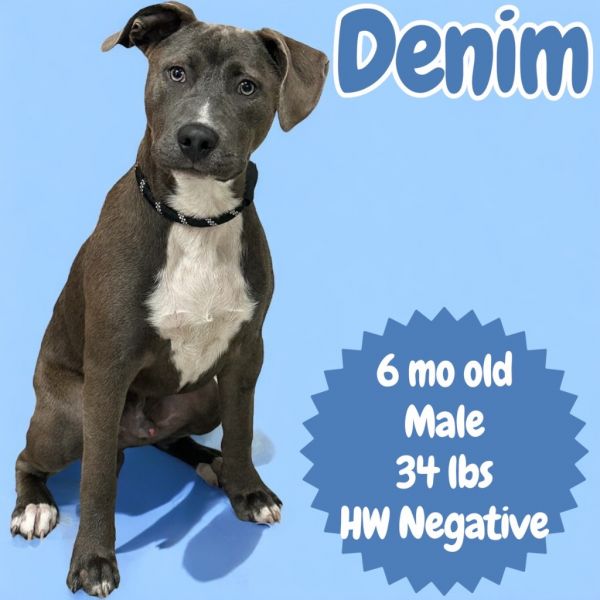 Denim