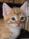 Morris photo 2