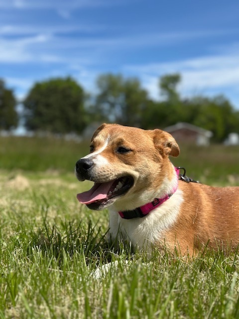 Sammie