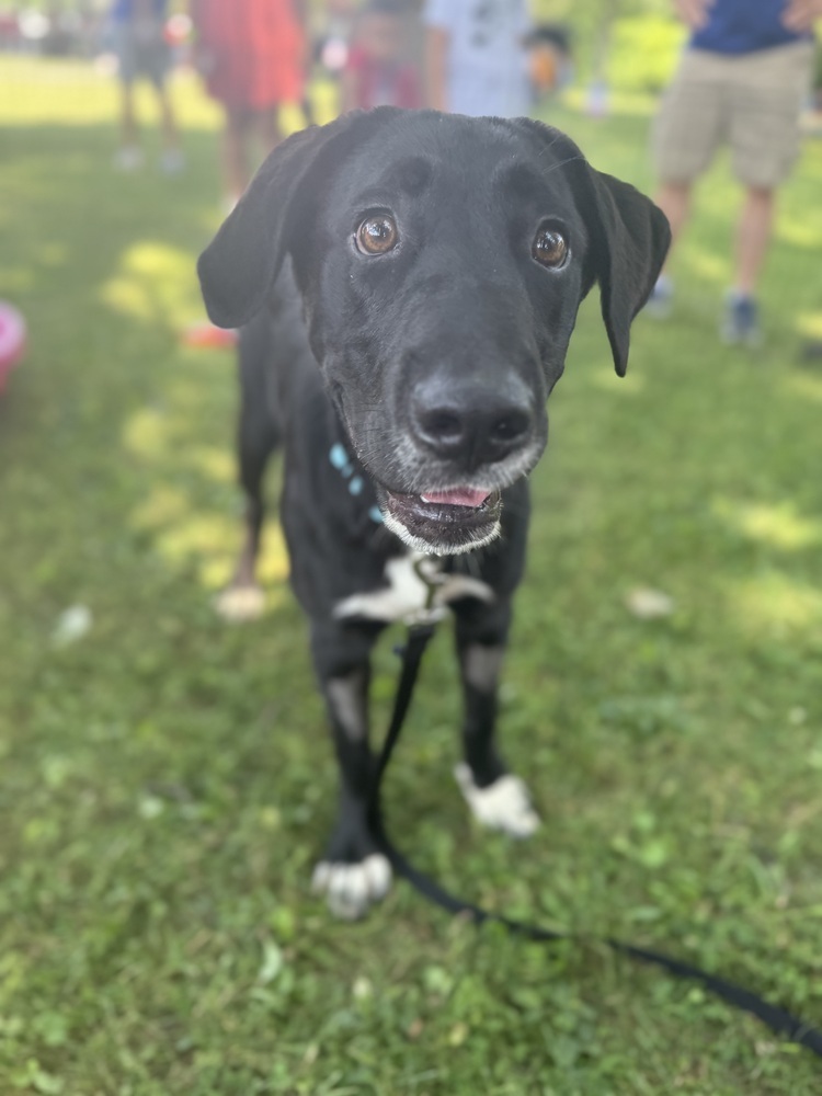 Juno