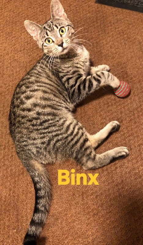 Binx