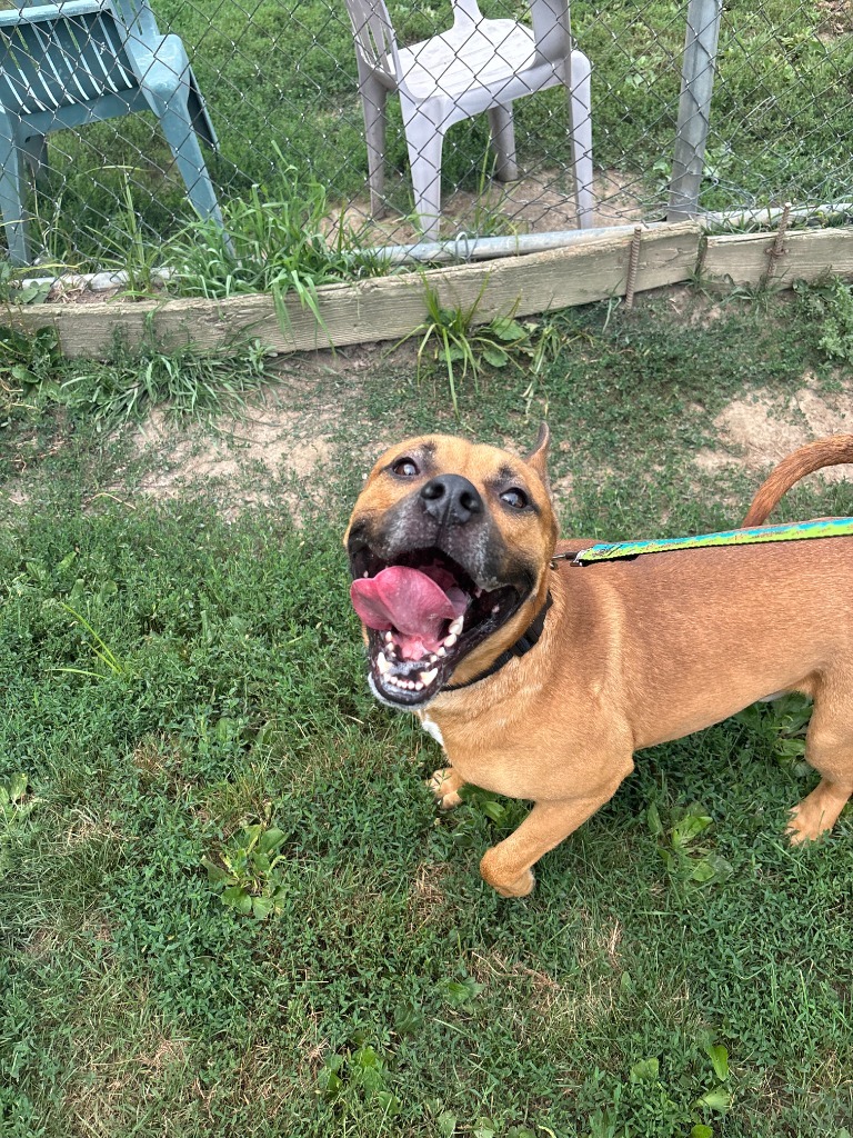 Scooby