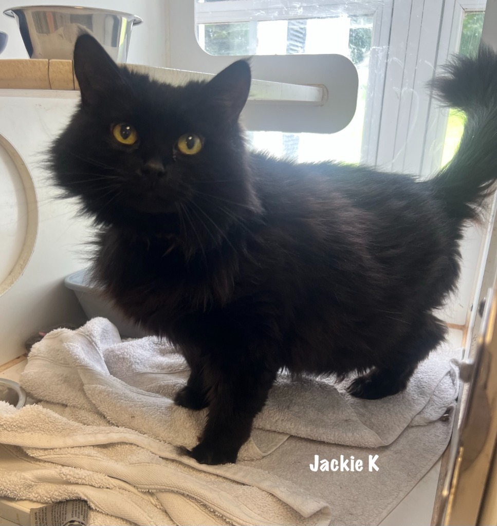 Jackie K.
