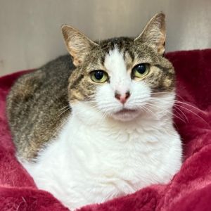 Tina, Senior Female unknown