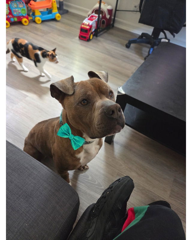 Zeus
