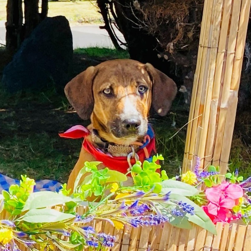 Maggie