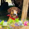 Maggie photo 5