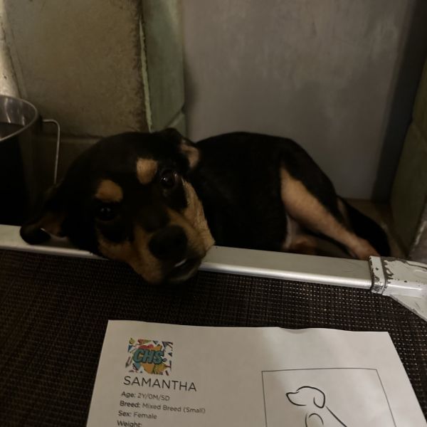 Samantha