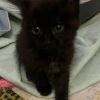 Tuna photo 6