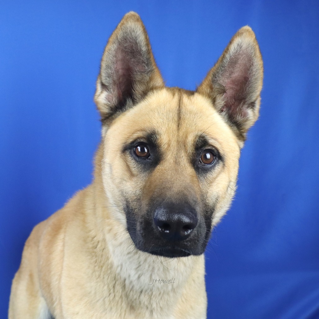 Tucker - 030401T
