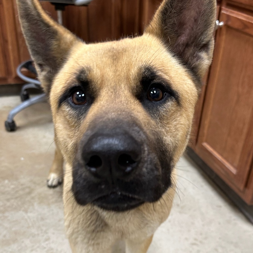 Tucker - 030401T
