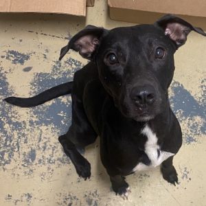 Photo of Aggie