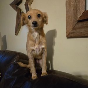 Photo of Augie