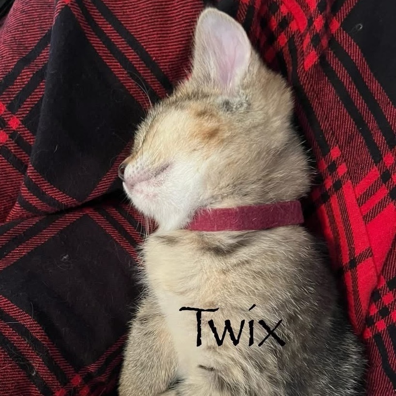 Twix