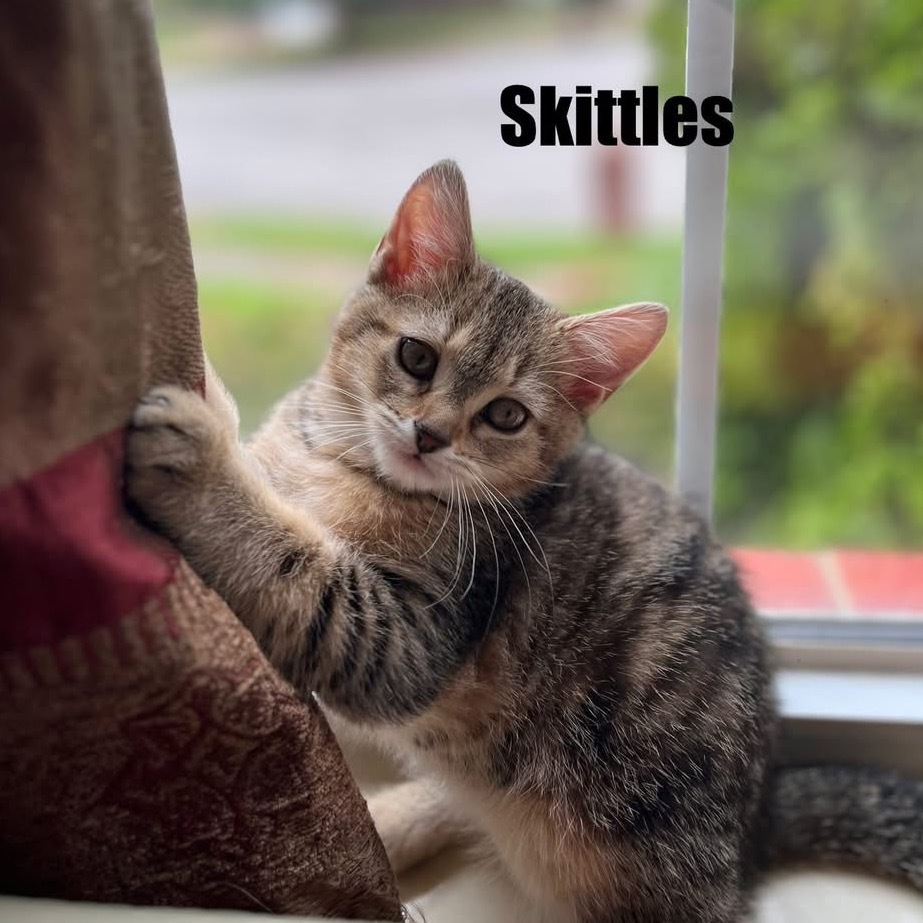Skittles