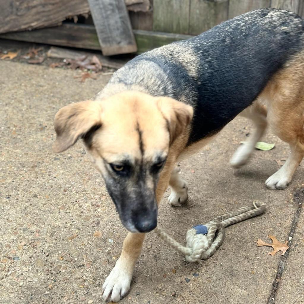 Kahlua