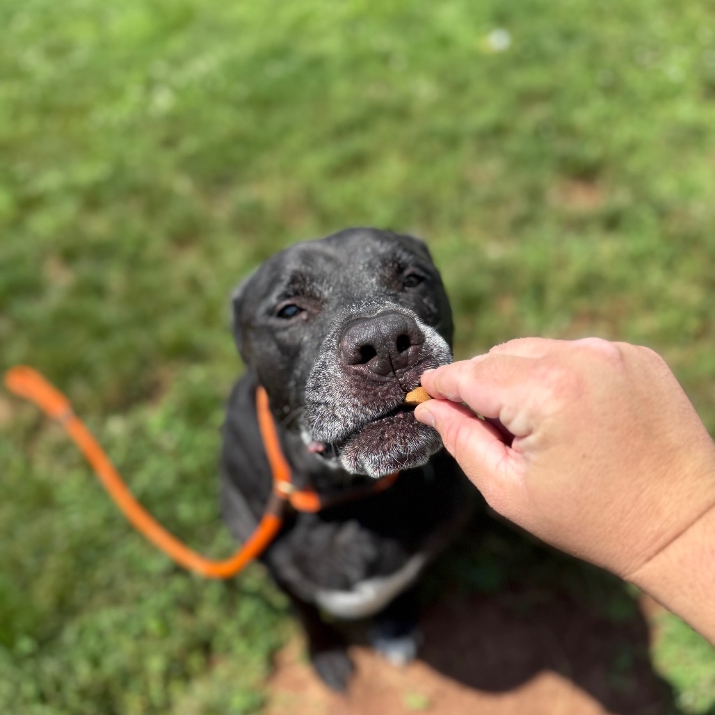 Zuko