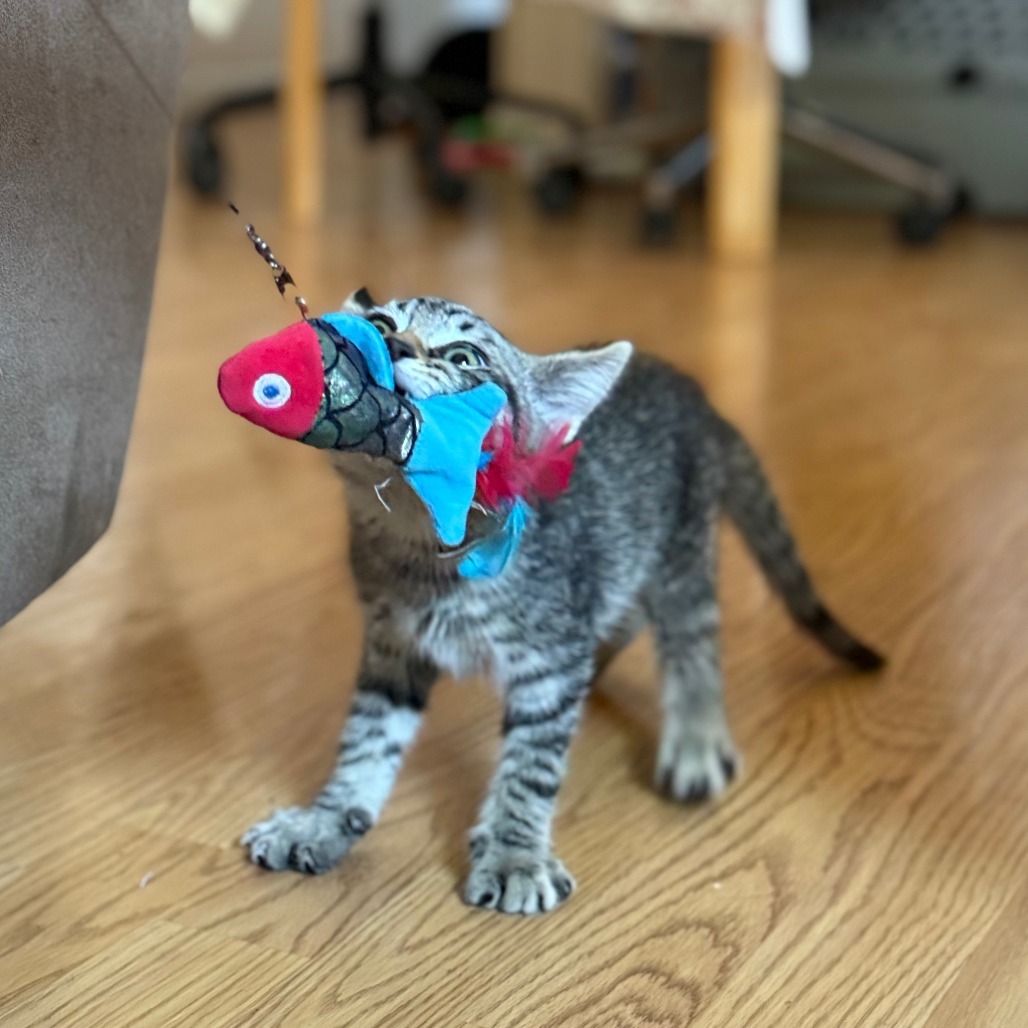 Oliver