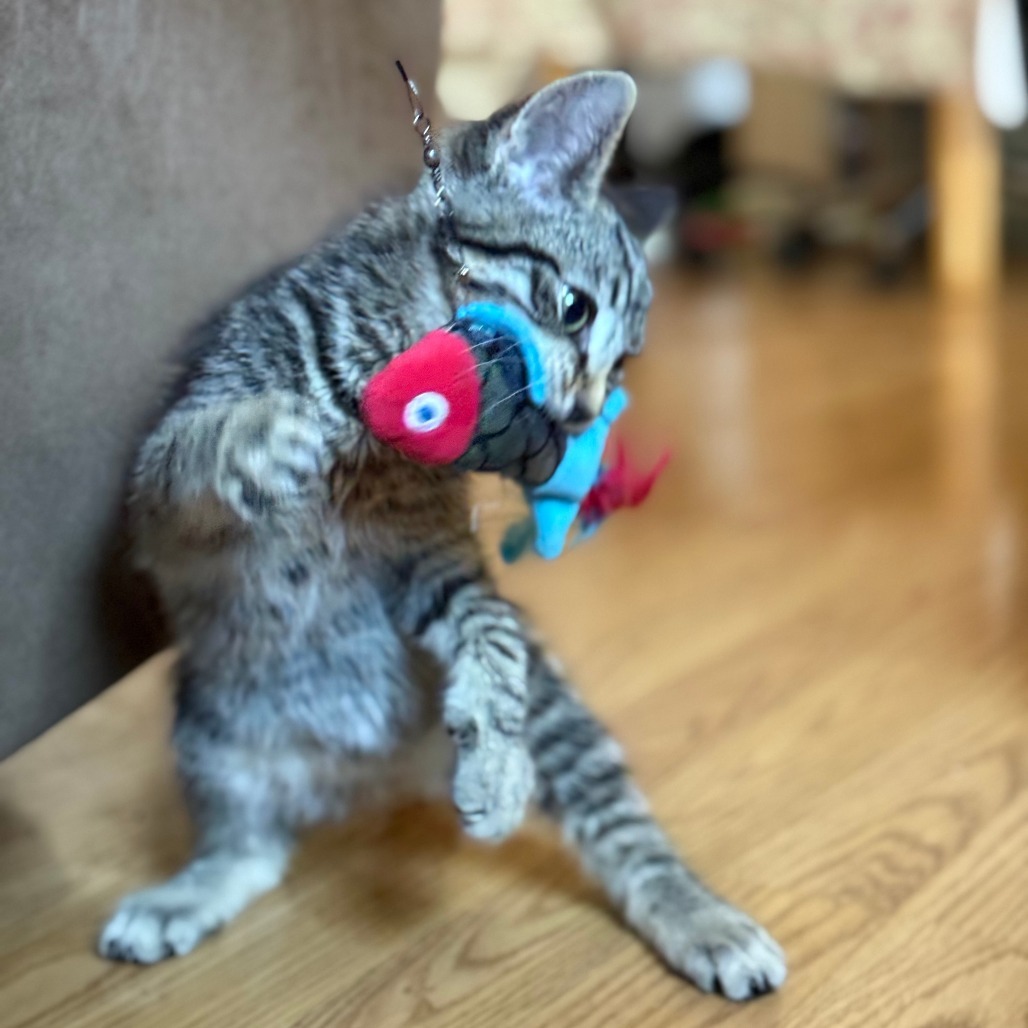 Oliver