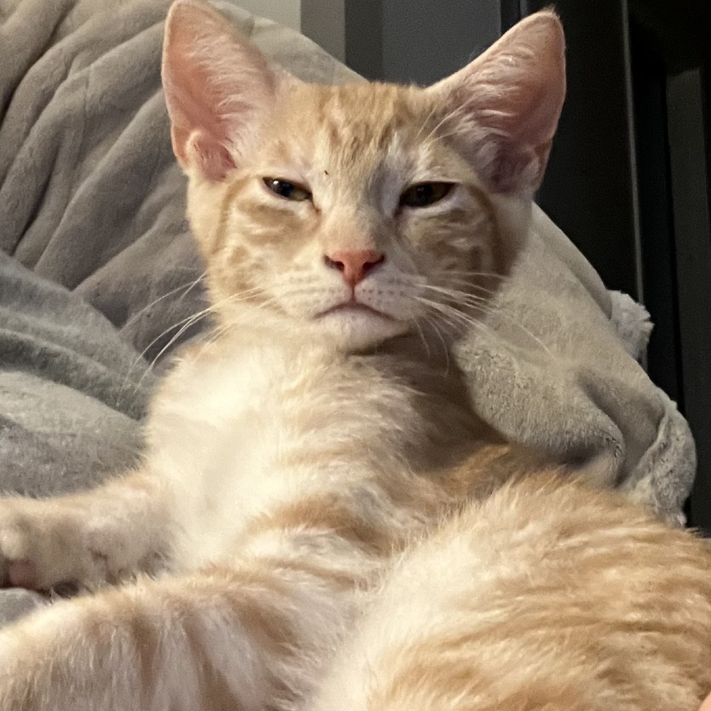 Murphy