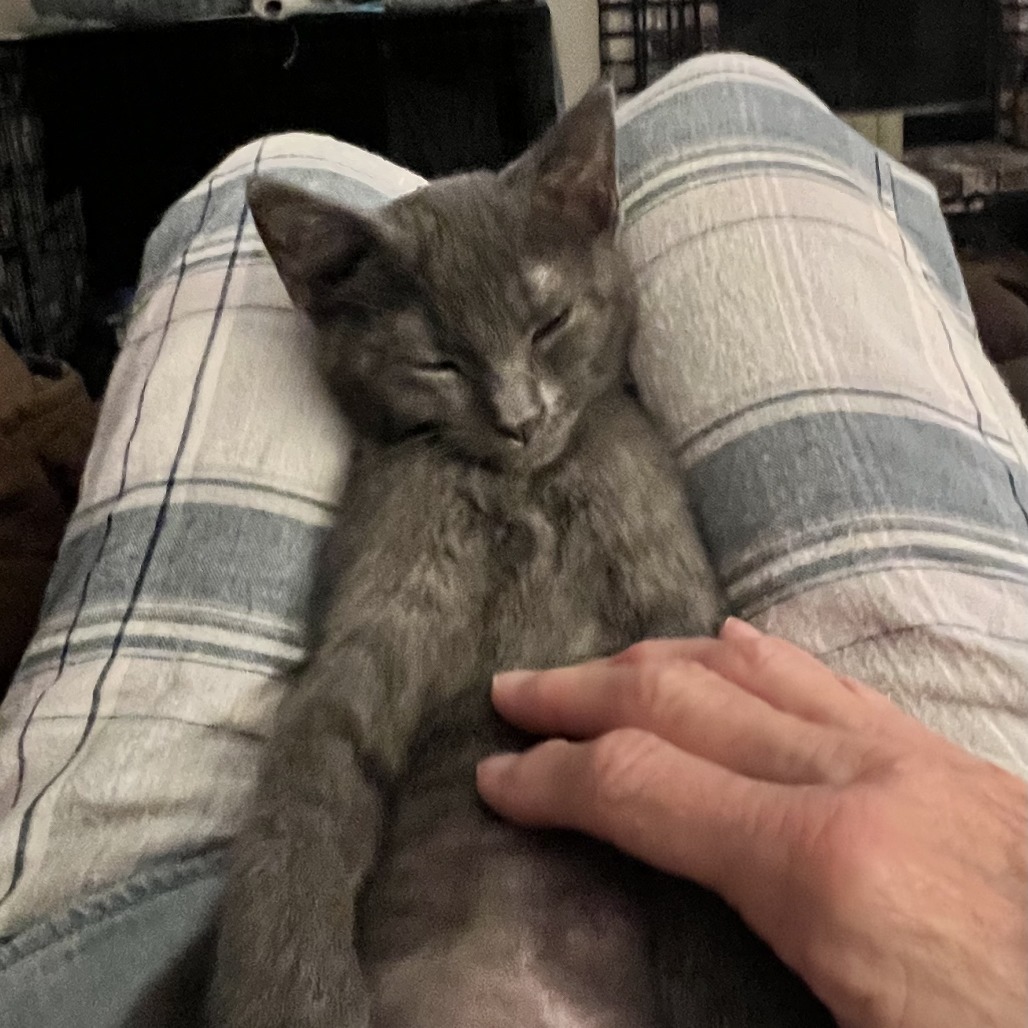 Quinn