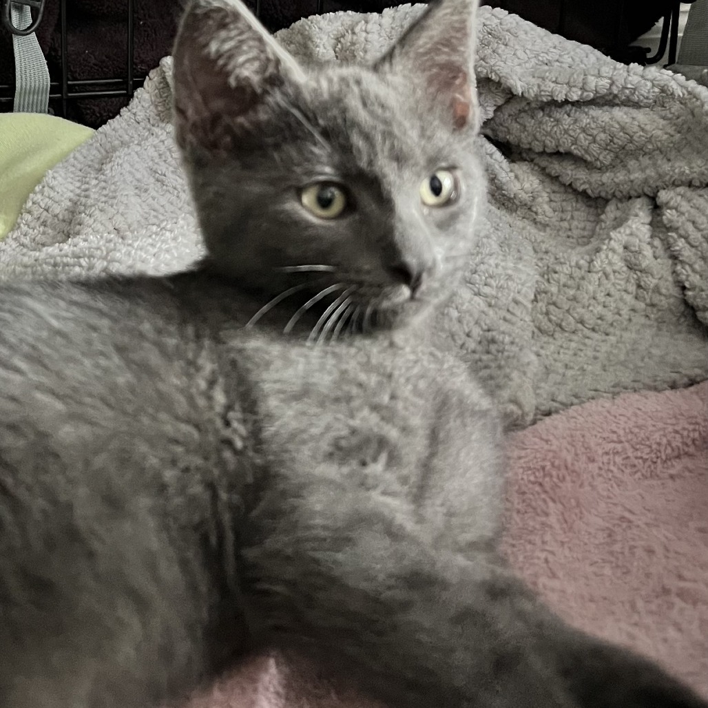 Quinn