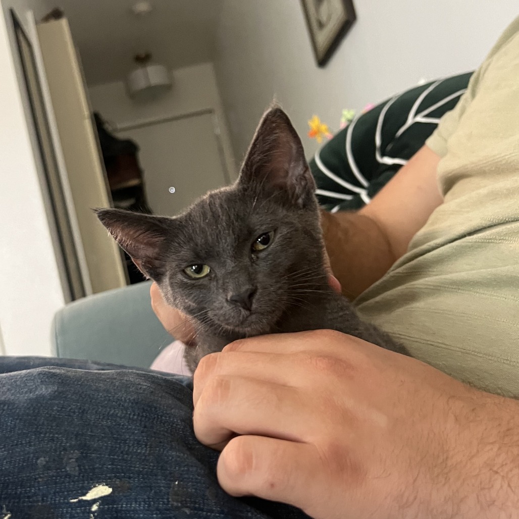 Quinn