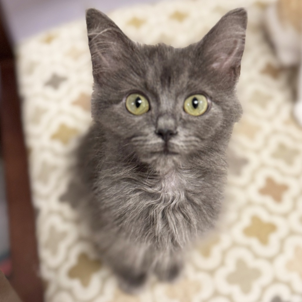 Dorothy