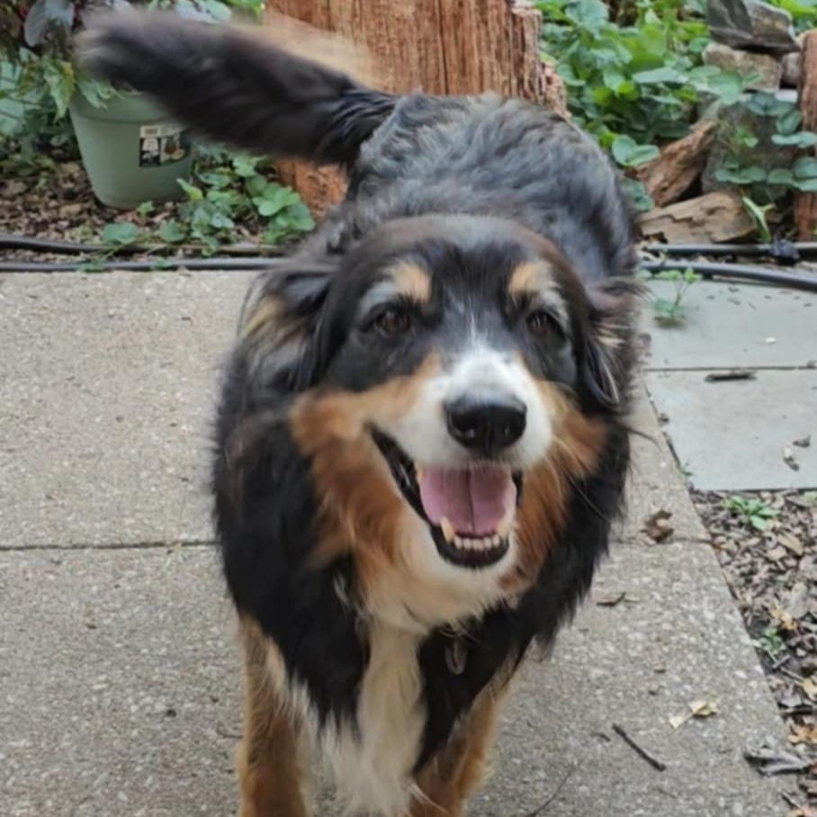 Maximilian