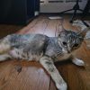 Lady photo 3