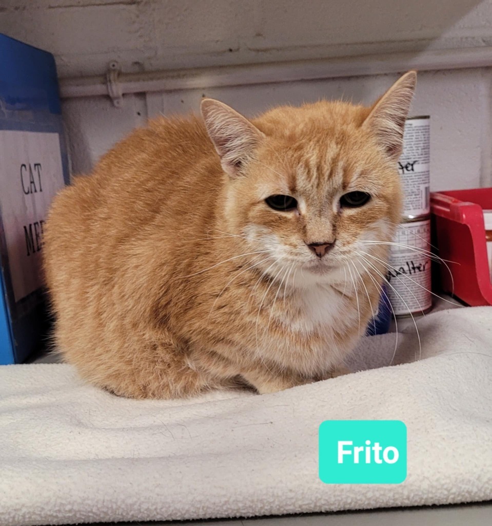 Frito